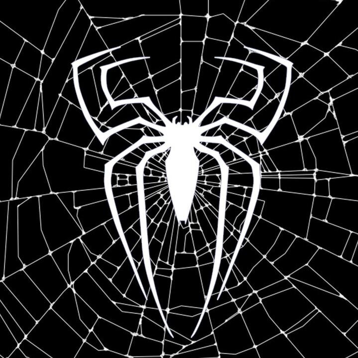 Spyd3r_M4n's profile picture. 