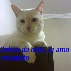 sou gostosoooo