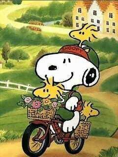 xvvg0624's profile picture. 