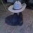 visigothdiner's profile image