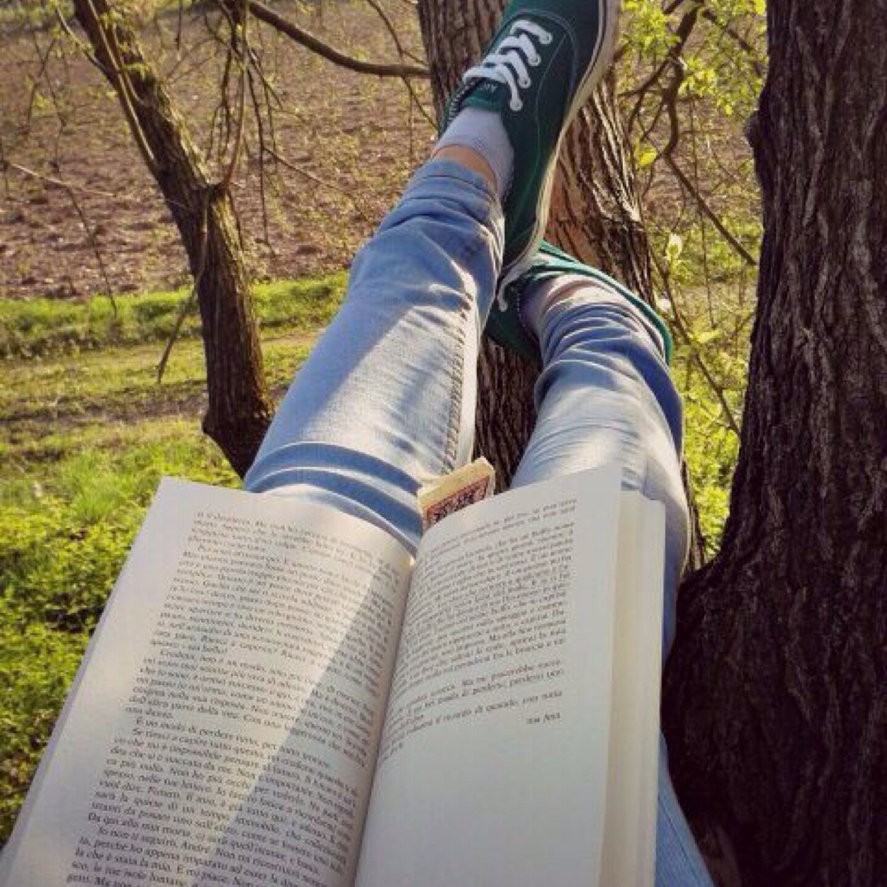 Forever ...