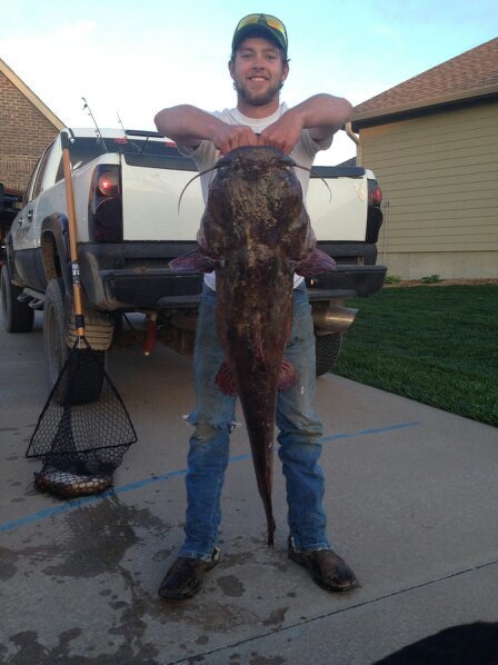 adoptedaustin's profile picture. 