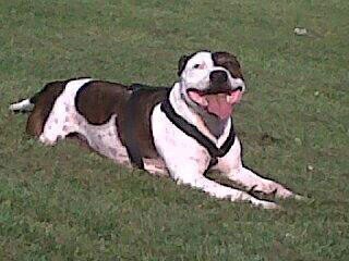 alexsneddon78's profile picture. 