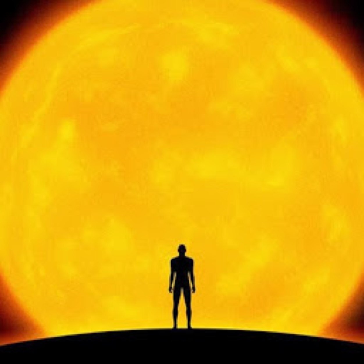 office78987320's profile picture. 