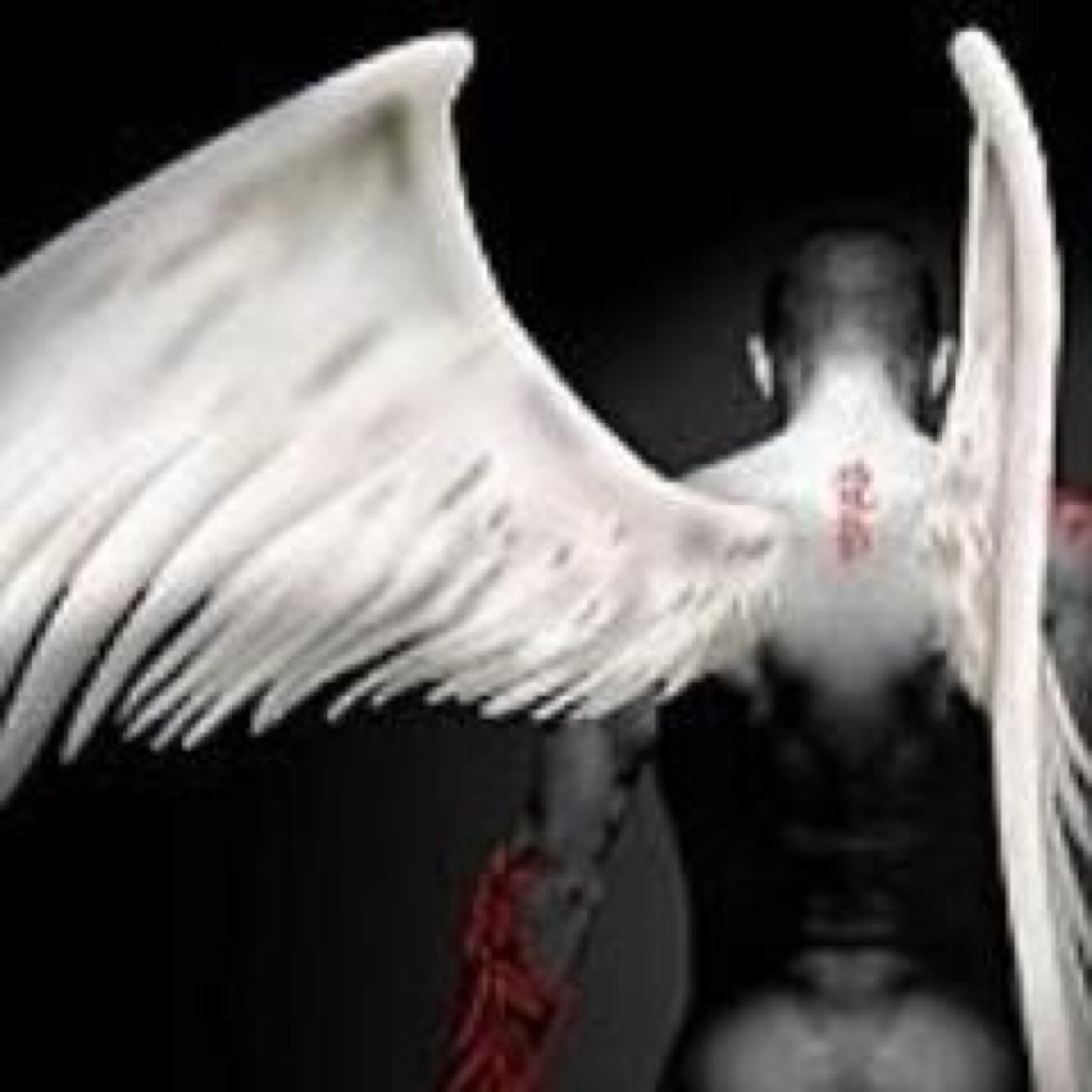 ANGEL Ψ ®
