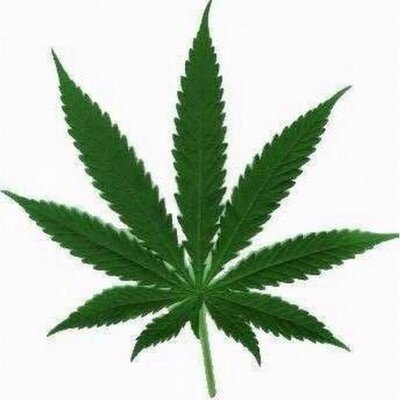 HighWhen420's profile image