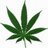 HighWhen420's profile image