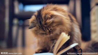 Favoritebookes's profile picture. 