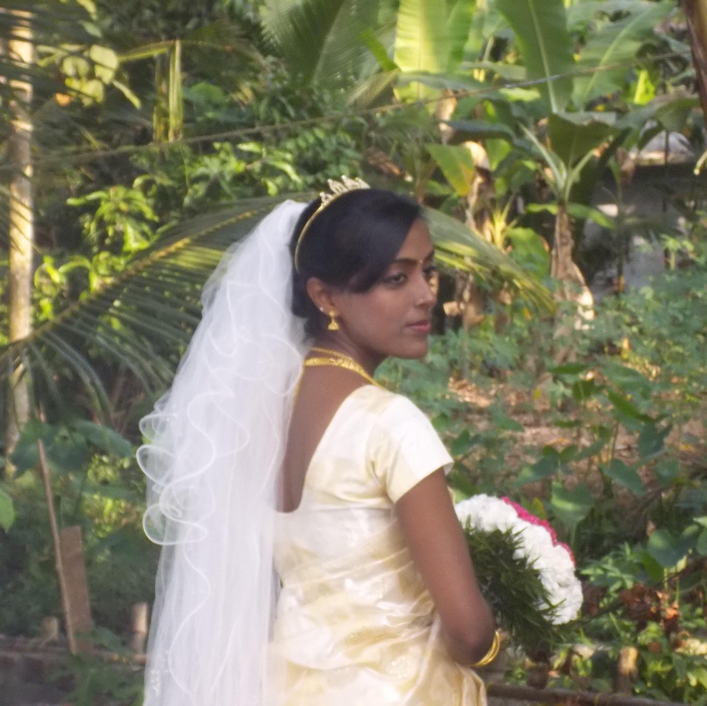 JijimolJoseph1's profile picture. 