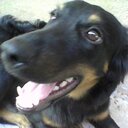 JOEL ROCK SANTOS - @YouMickey27 - Twitter