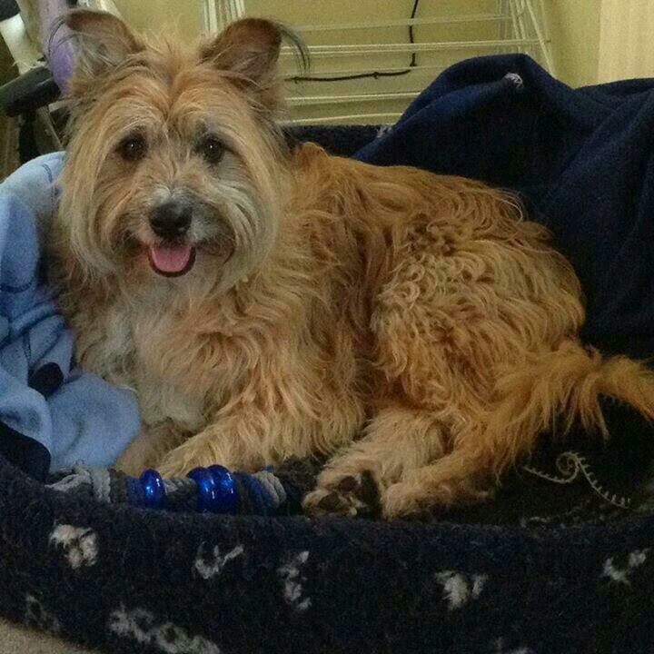 sglover51's profile picture. 