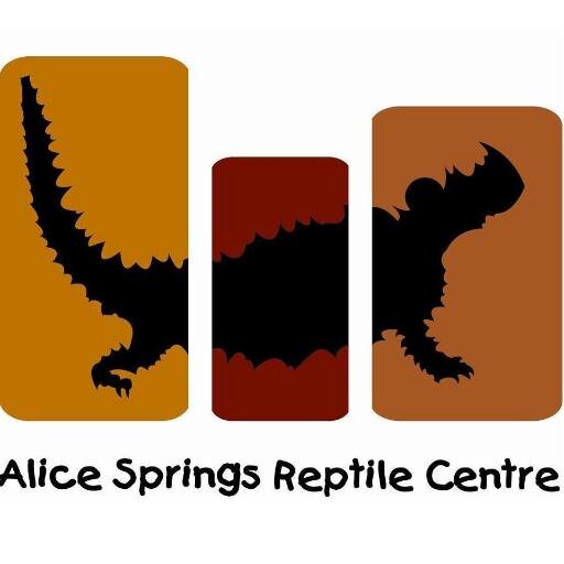 Alice Springs Reptile Centre houses the largest #reptile display in Central #Australia. Also a drop off centre for Wildcare Inc and the local #snake catchers.