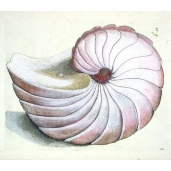 ArgonautMarine's profile picture. Marine Electrician Finder.