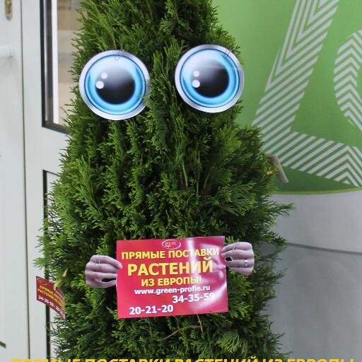 house_profie's profile picture. Прямые поставки растений из Европы, ландшафтный дизайн, озеленение, проектирование и уход за садом