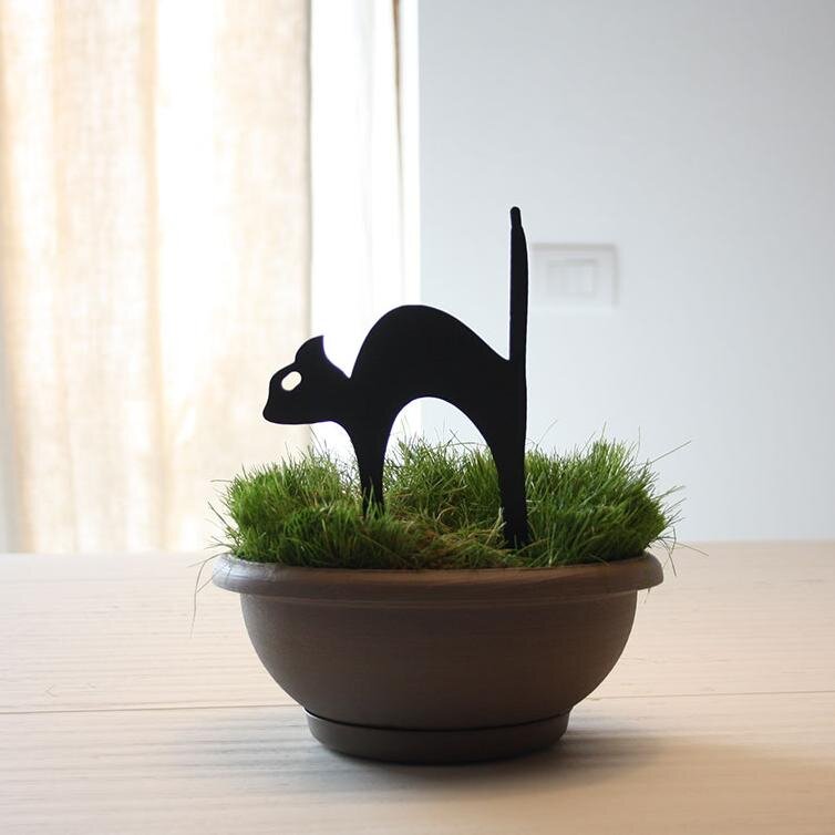 SpirHello's profile picture. SpirHello makes you happy!