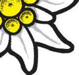 iflady's profile picture. 