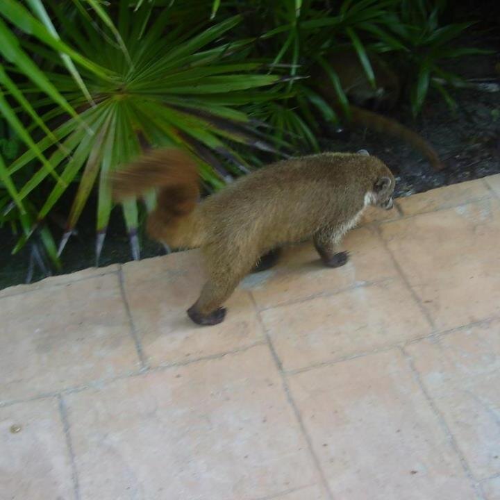 HugoMorais17's profile picture. Viajar