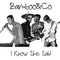 Bamboo&Co (@bambooandco) 's Twitter Profile