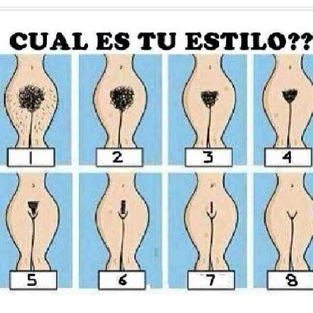 Perfectionist Profile