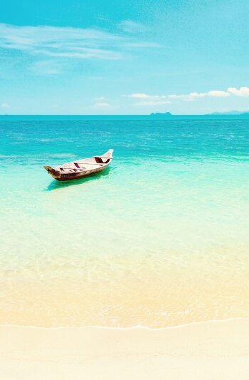 chaspieper's profile picture. 