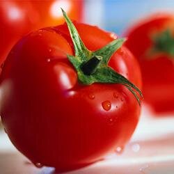 Nuestro ideal es crear #huertos urbanos apostando por un #consumoSostenible y productos libres de pesticidas.
Síguenos en FB https://t.co/O9a2hQ5FYe