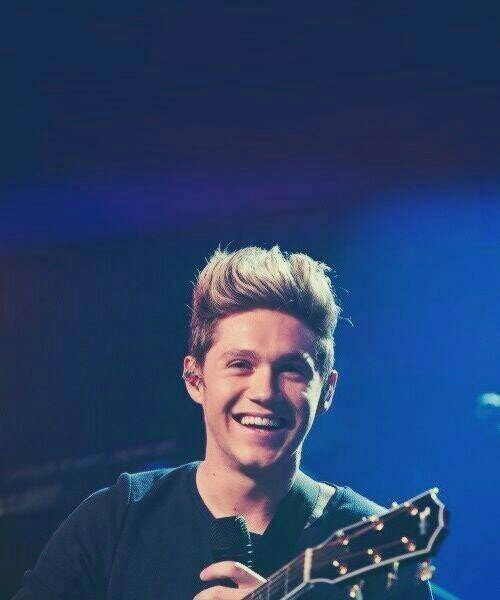 @NiallOfficial and@Luke5SOS fuck me?