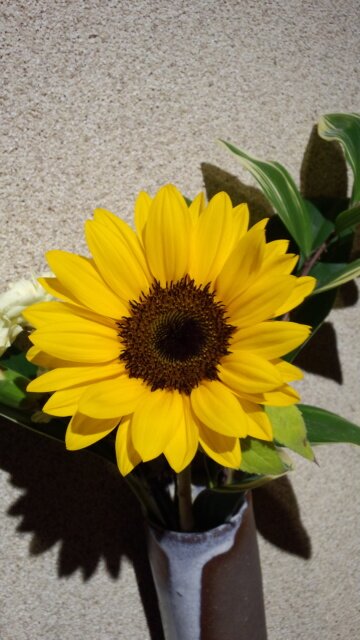 ohisama2525's profile picture. 10/20天、グループ魂、Theゆうたろうバンド、イギリス人、BACKHORN、＋桃尻東京TV＋、ナカザタロウ、Albarino、華吹雪、TOMOVSKY、SA、ネモトラボルタ、アシュラシンドローム、レキシ、枕s、  ライヴ参戦の遠征で訪れる土地の観光や 美味しいものをいただくのが楽しみ(*^_^*)