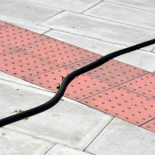 graphitegrey's profile picture. Designer: https://t.co/qQOglQ74OZ Photographer: https://t.co/i2T2N0z1Uw