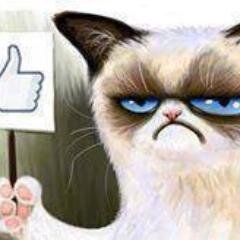 1GuySellnThings's profile picture. Buy our stuff.