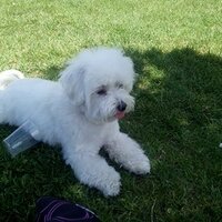 ignacio gomez (@ignaciogomhor) 's Twitter Profile