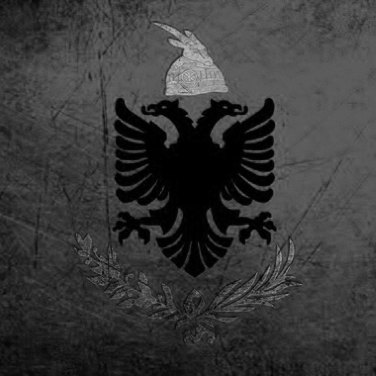 Wat is denn los mit dir?! #Bosshaft!!! Follow and i Follow back! Kosova!!!!!!!!