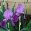 Michelle Wadsworth - @wadsworthml74 - Twitter