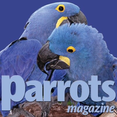 Advice and information for #Parrot owners and enthusiasts worldwide.