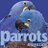 parrotsmagazine's profile image