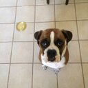 Adam pease - @AdamPease - Twitter