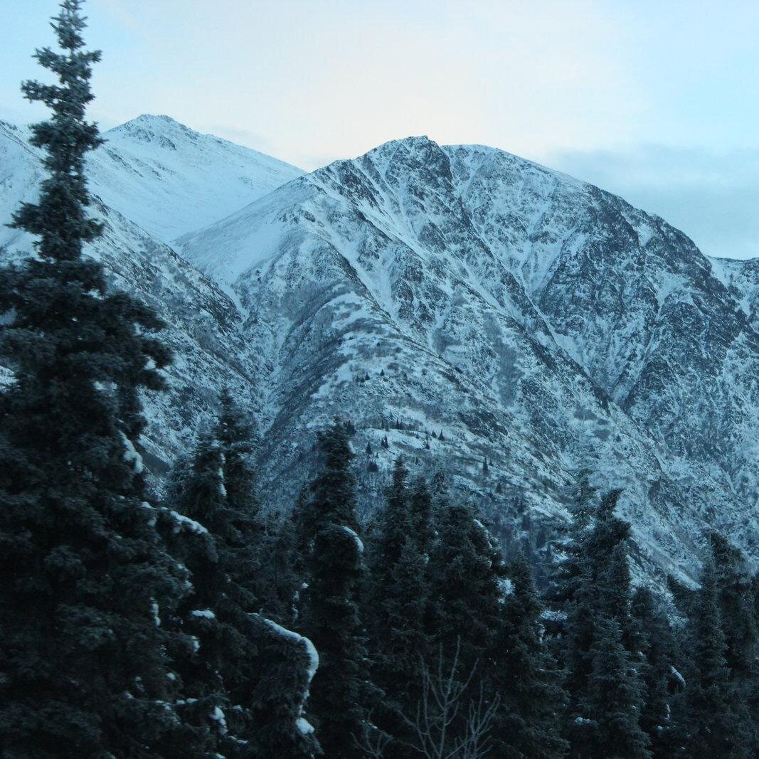 llama477's profile picture. following the infosec community sharing what i enjoy