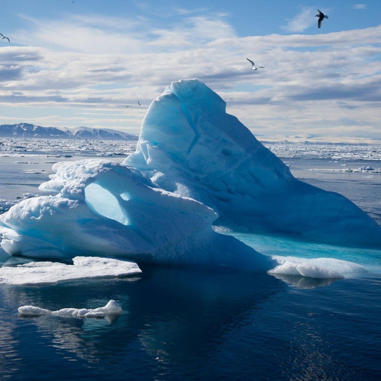 Arctic_Issues's profile picture. Looking at geopolitical issues in the #Arctic, including recent news in the region. Primary focus on US policy in the region.