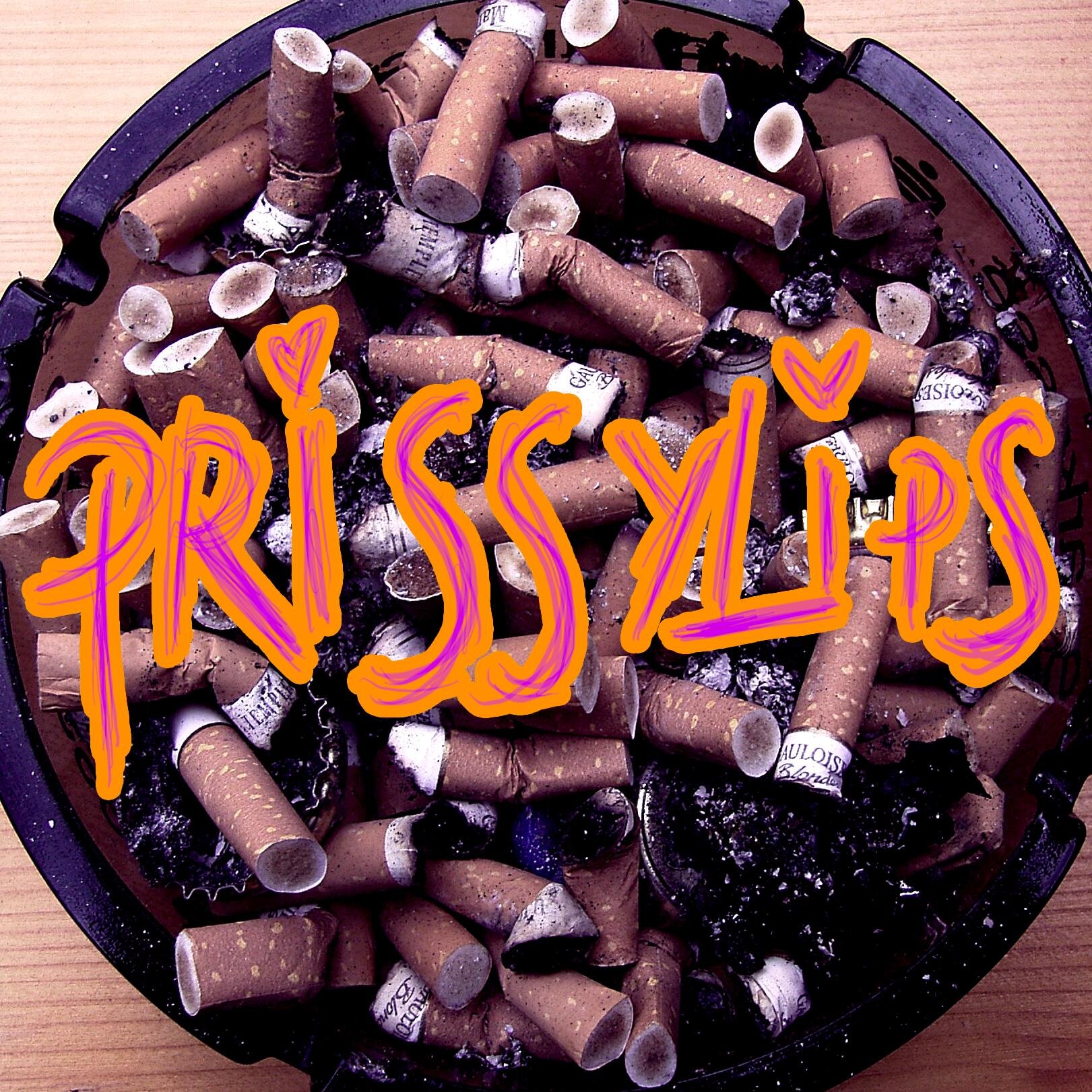 PRISSYLIPS are a Brighton-based alternative duo.
PRISSYLIPS are Crysi de Milo & Reuben Drake.