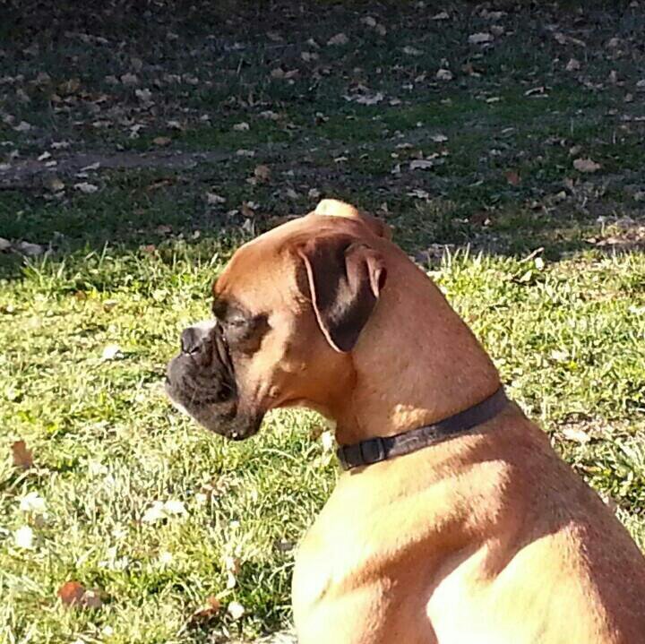 eaa299be0cb4479's profile picture. 