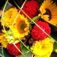 Thistles and Thorns has been established for over twelve years and we pride ourselves on quality of work and our professional and friendly service.