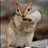 LoverSquirrel's profile image