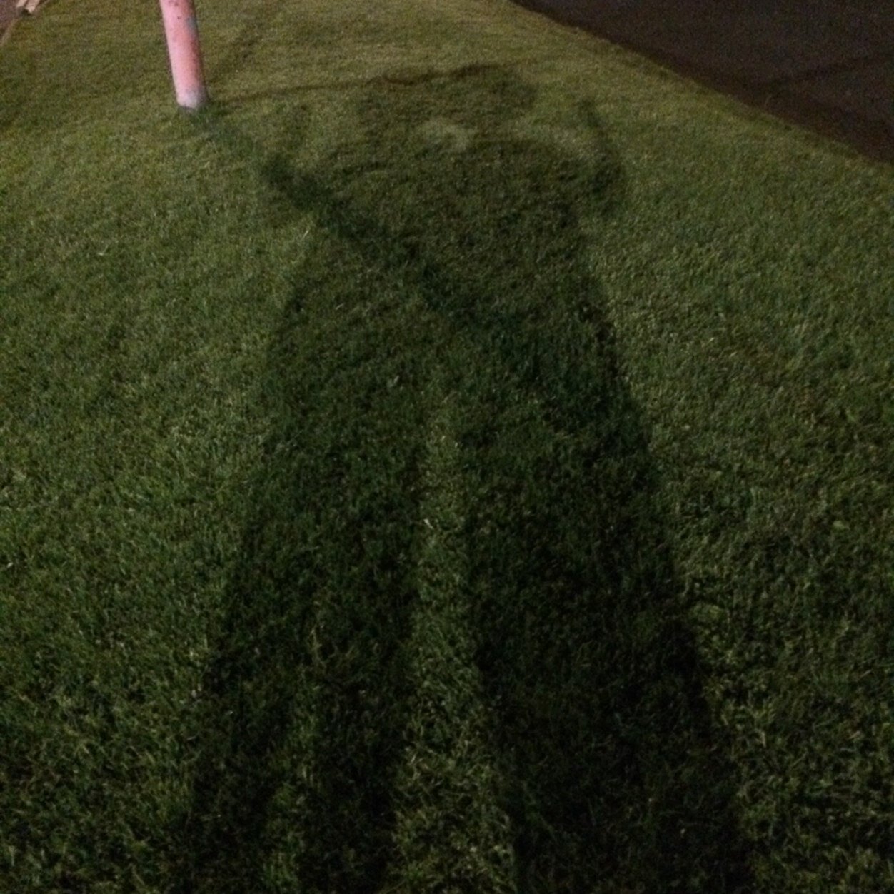 daz_boothy's profile picture. Fond of a great choon, good company, a nice beverage and the red team from nottingham.