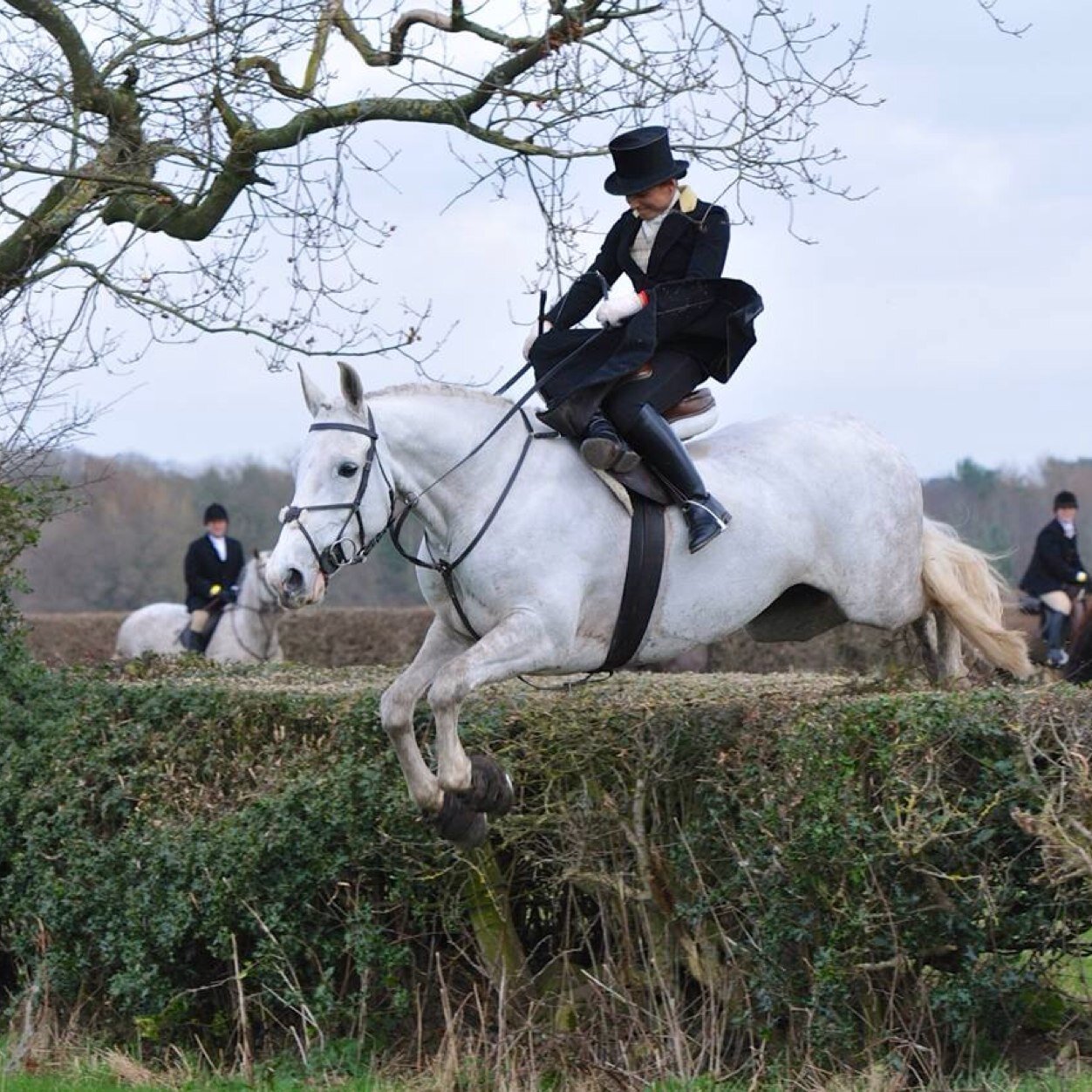frankinstein_85's profile picture. winter spent hunting- summer spent showing -side saddler - jack russell shadow- tally ho- founder of a The Old Hunting Habit & Co- hunting & side saddle attire