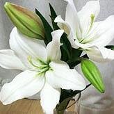 yuri_ma247's profile picture. フリーのWEBクリエイターです。日々勉強中！