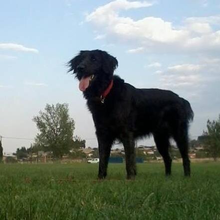 thomoula8's profile picture. 