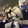 wakajishi_LIONS's profile picture. 埼玉西武ライオンズ応援団 若獅子会です。Twitterを通じて色々な情報を発信します！若獅子会会員募集中 ！ ライオンズに熱い応援よろしくお願いいたします。