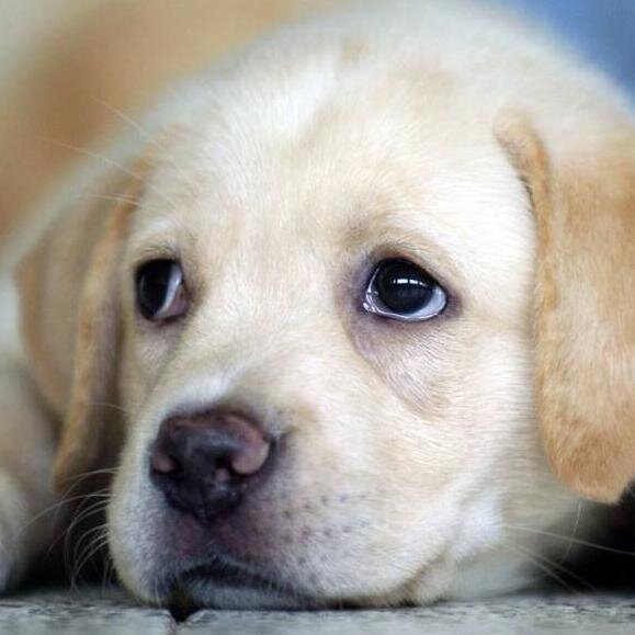 Hiren30253's profile picture. Delta Air Lines