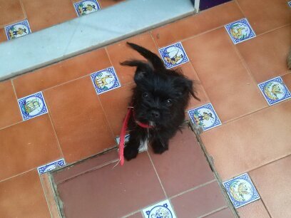 [Potito,Tilico,Pepsi,Ayala,Gracita,Rambo,Plati y Esnupy os hecho de menos, siempre en mi corazon] [Amante de los animales] [Madridista de corazon]