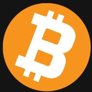 Large Bitcoin and Altcoin Domain Portfolio