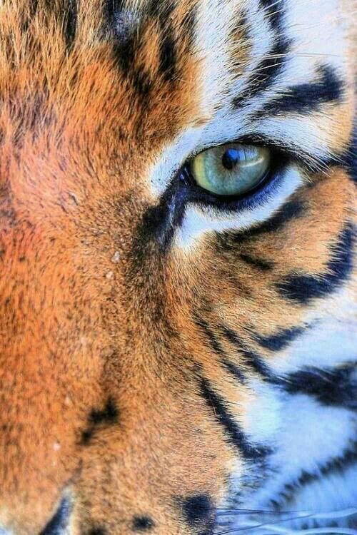 I'm Italian 
I love music and photography and pizza!
I follow back